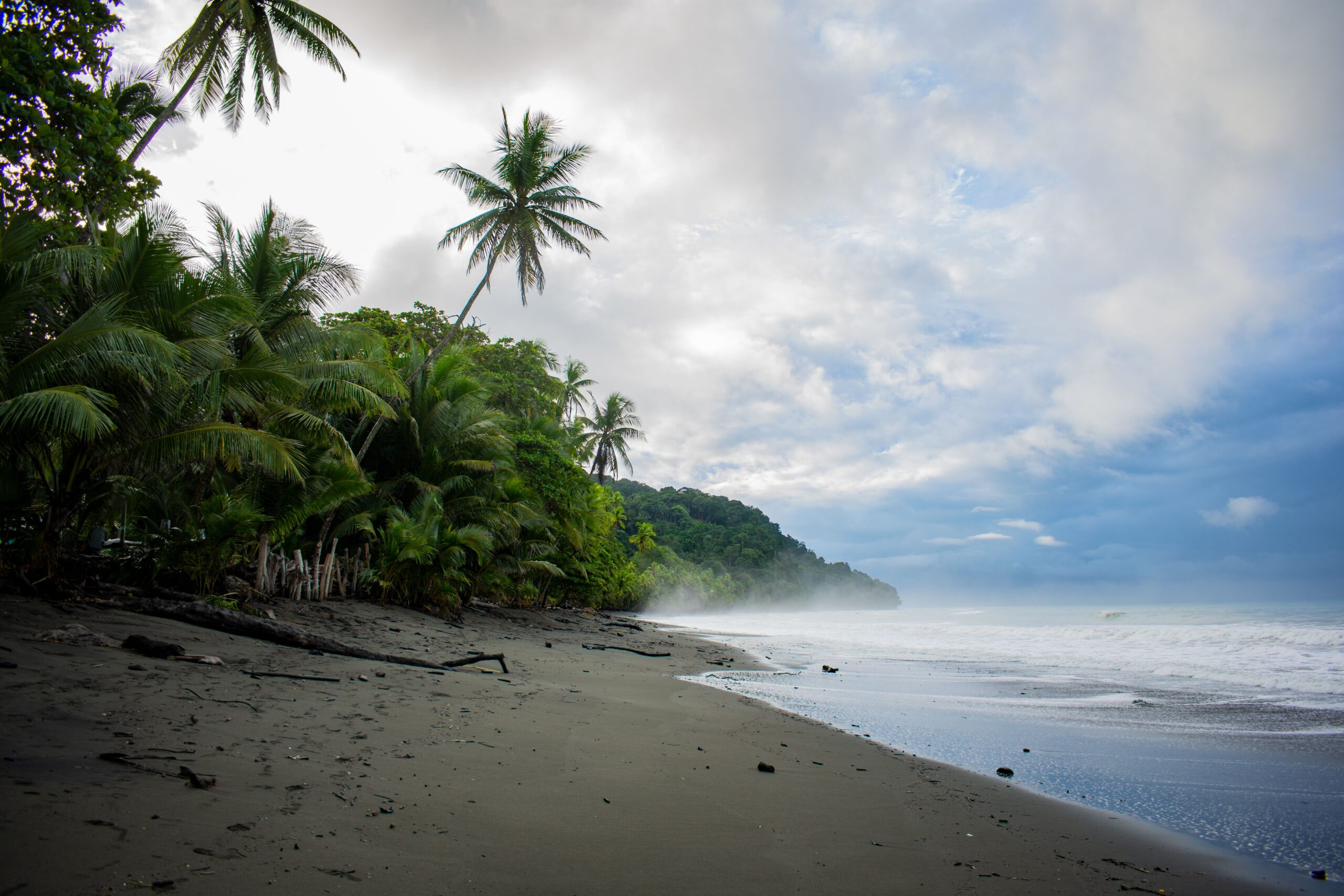 Beach Front Property