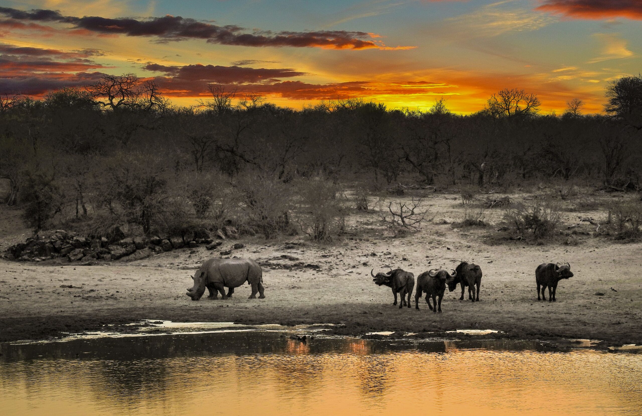 Serengeti Safari Reserve