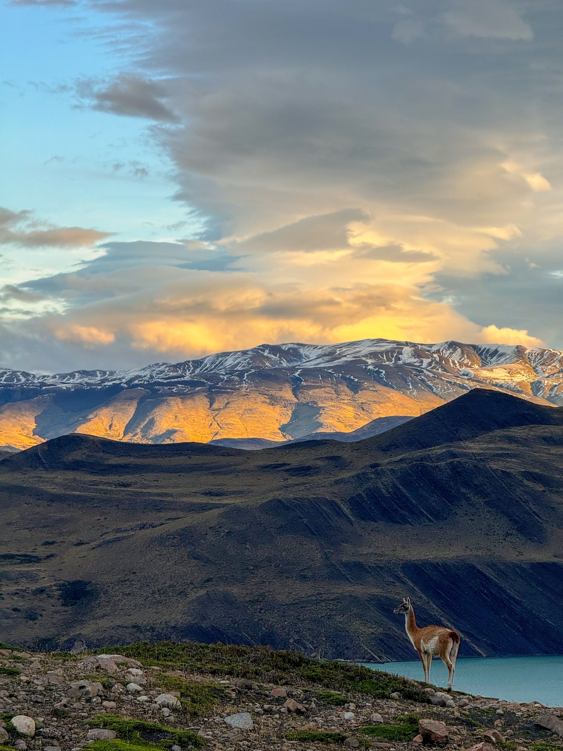 Patagonia Lakefront Reserve