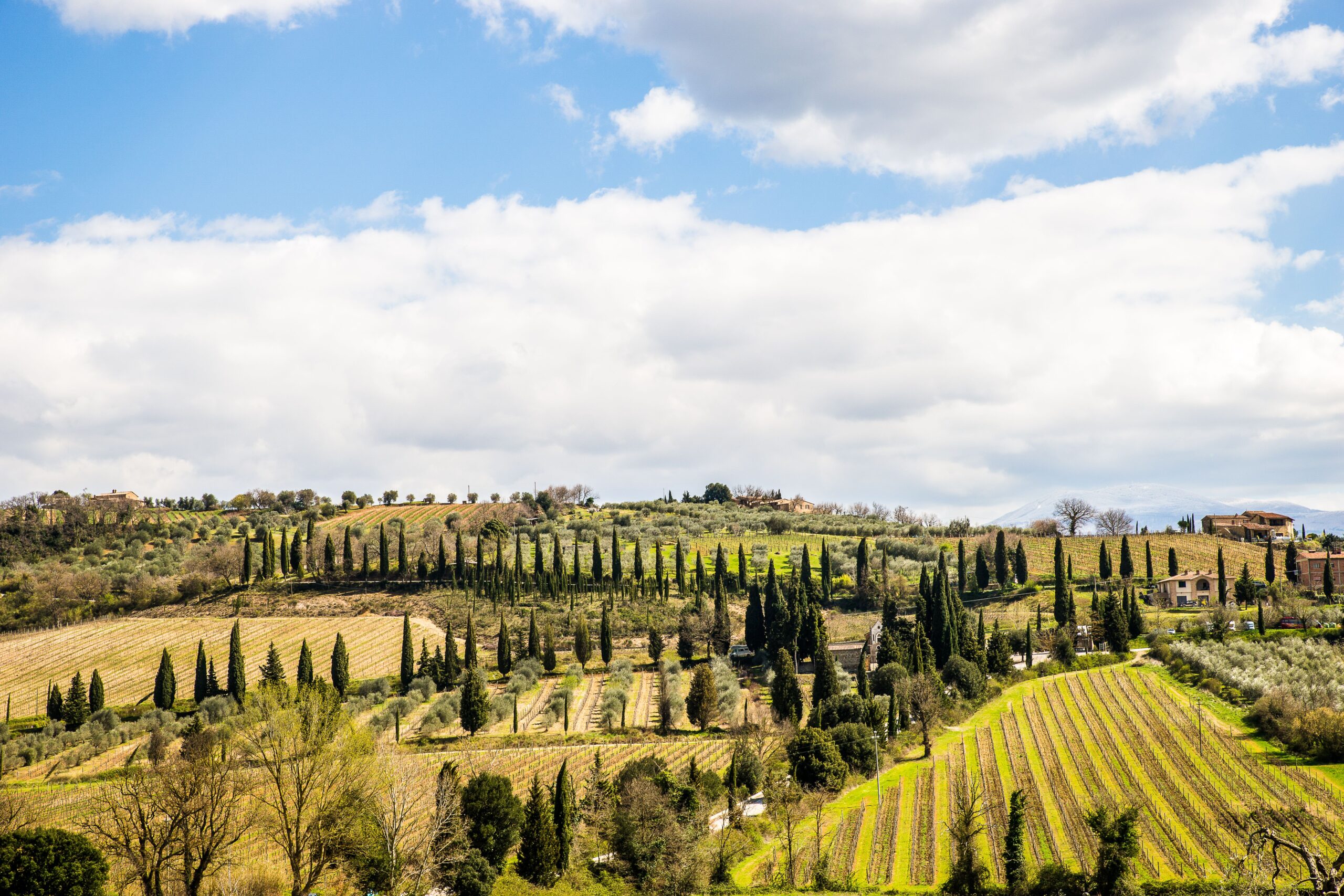 Tuscany Vineyard Estate