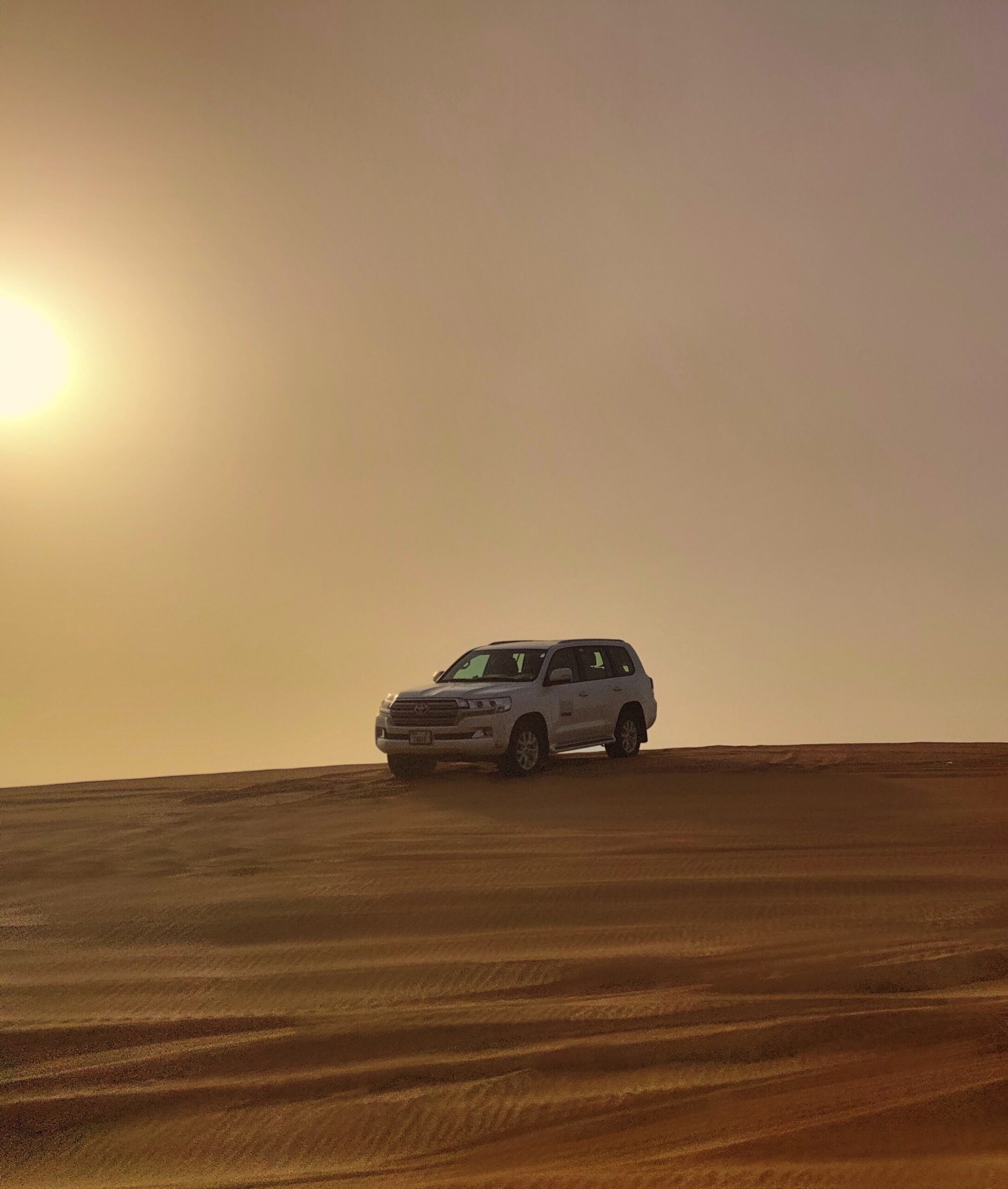 Dubai Desert Development Site