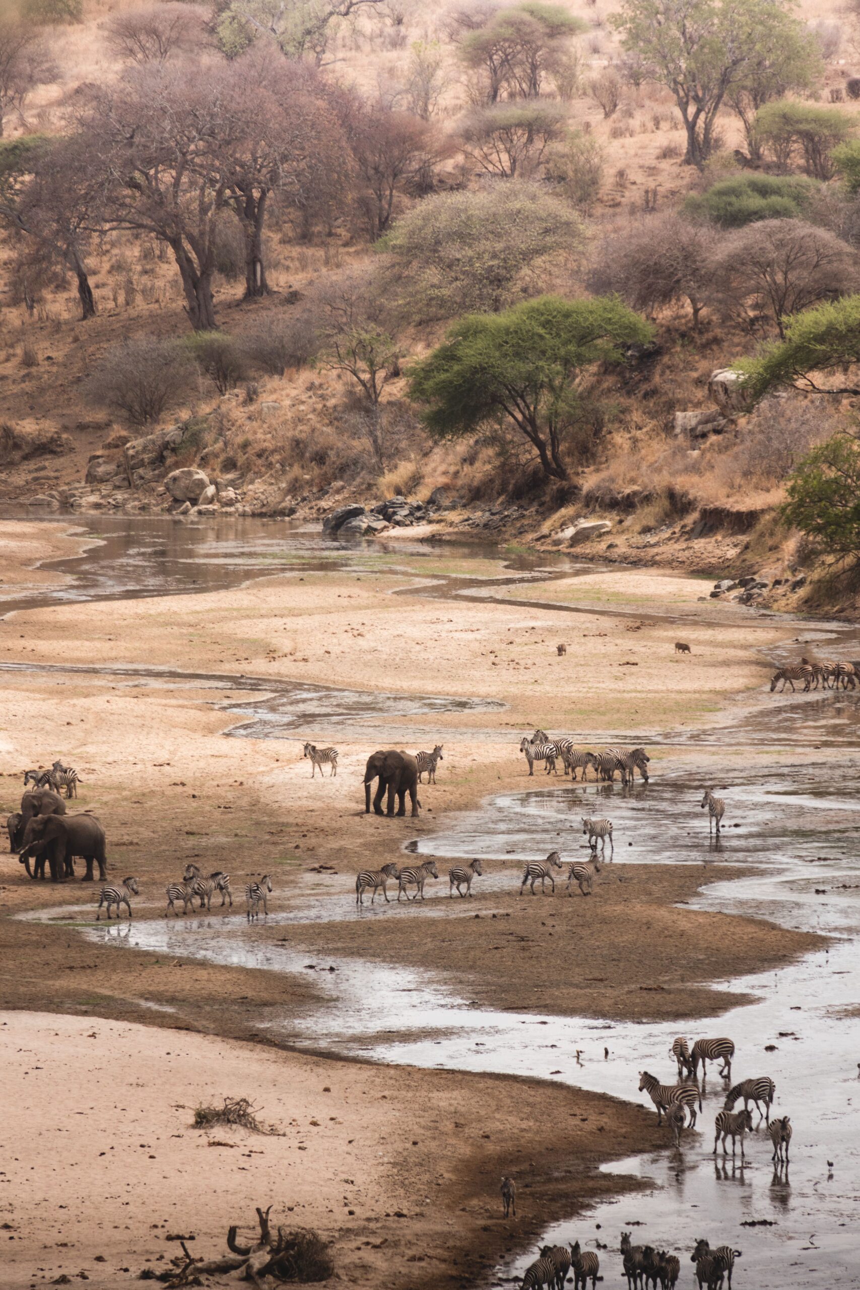 Serengeti Safari Reserve