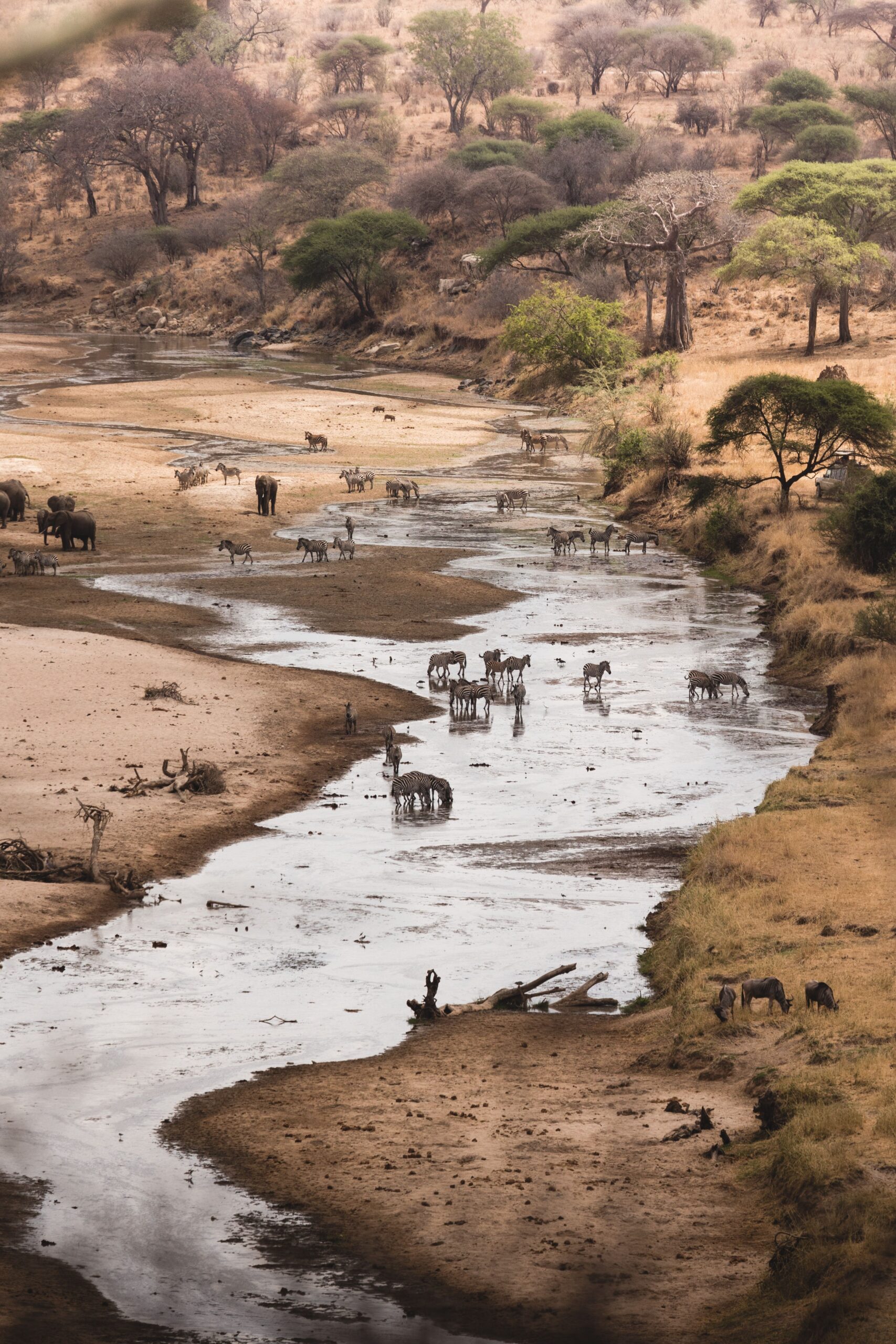 Serengeti Safari Reserve
